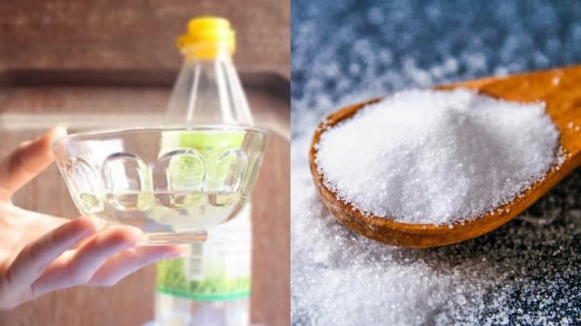 Cách lấy cao răng bằng giấm đơn giản tại nhà