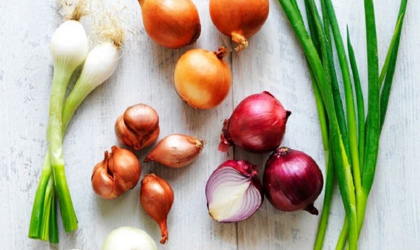 Tìm hiểu nguyên nhân hôi miệng và cách khắc phục