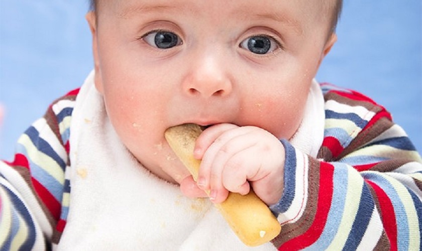 Cho trẻ ăn bánh ăn dặm nhằm thỏa mãn nhu cầu cắn, nhai của trẻ Cho trẻ ăn bánh ăn dặm nhằm thỏa mãn nhu cầu cắn, nhai của trẻ