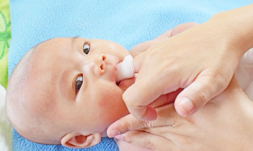 Nên lau sạch nướu cho trẻ hàng ngày và sau khi bú Nên lau sạch nướu cho trẻ hàng ngày và sau khi bú