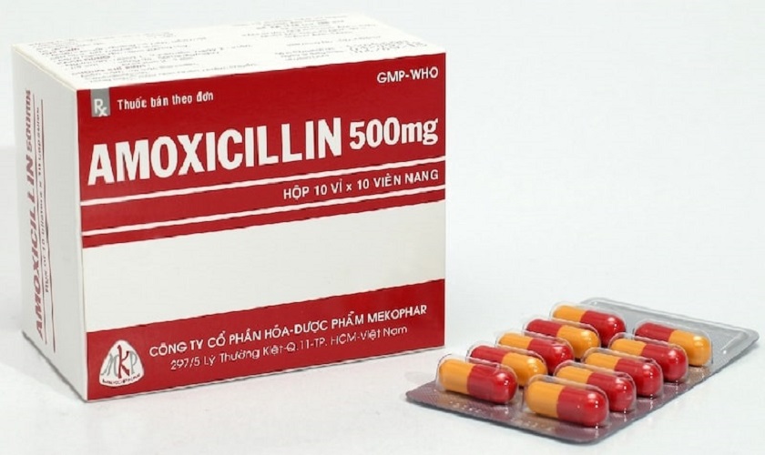 Amoxicillin có thể được sử dụng để điều trị viêm lợi Amoxicillin có thể được sử dụng để điều trị viêm lợi