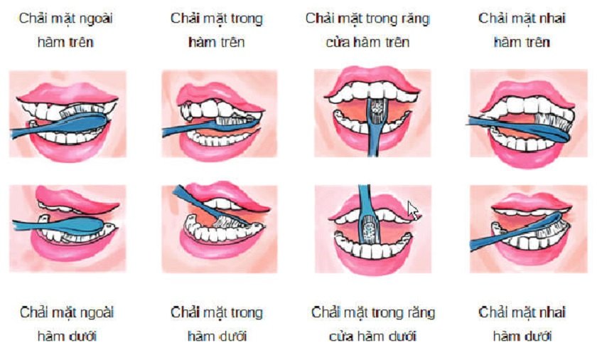 5 bước chải răng đúng cách cần áp dụng hằng ngày 5 bước chải răng đúng cách cần áp dụng hằng ngày